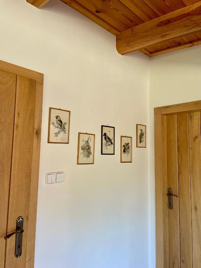 Drozdi Hnizdo Apartment Horni Breckov ภายนอก รูปภาพ